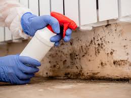 Mold Documentation for Insurance Claims in Susan Moore, AL